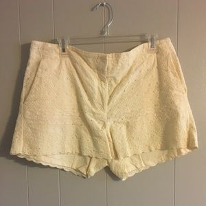 Loft button up shorts